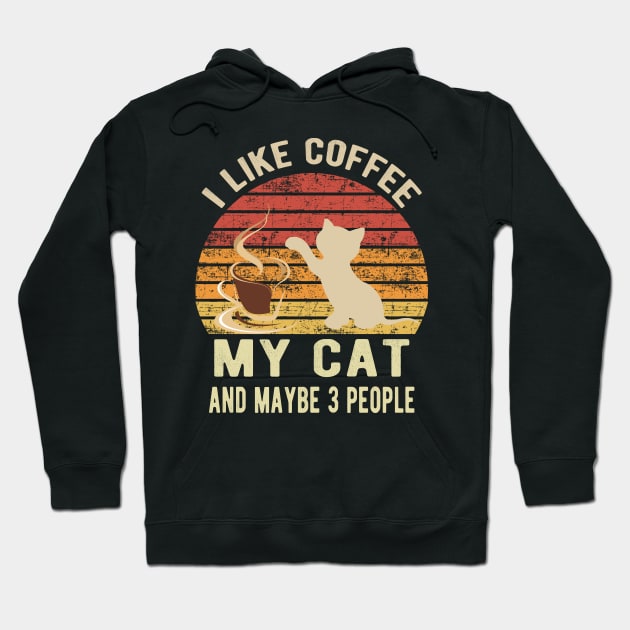 I Like Coffee My Cat And Maybe 3 People Hoodie by Doc Maya